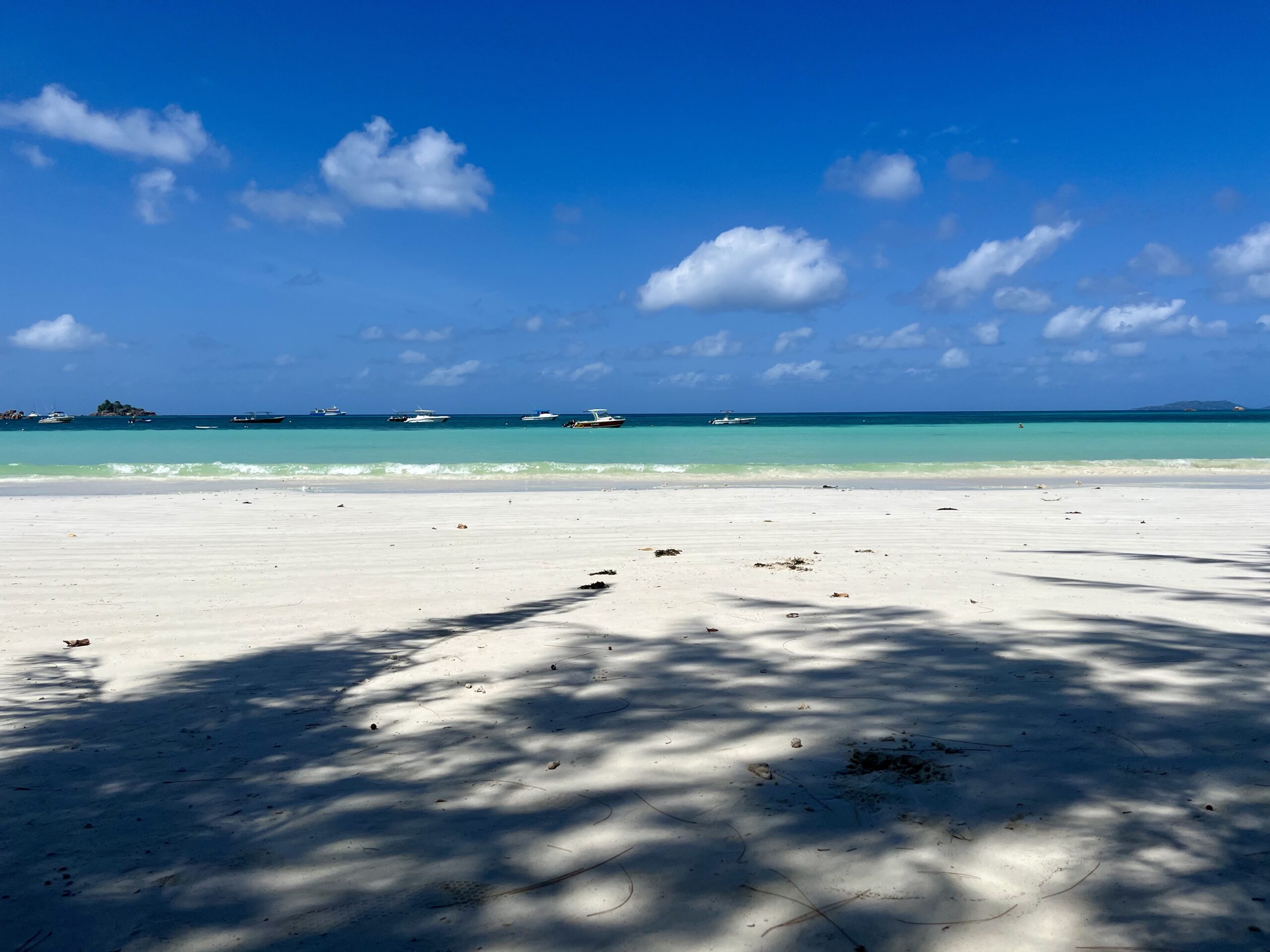 spiaggia low cost praslin seychellesspiaggia low cost praslin seychelles